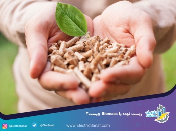 زیست توده یا Biomass چیست؟